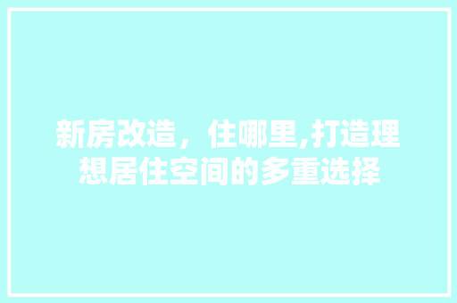 新房改造，住哪里,打造理想居住空间的多重选择 装修攻略