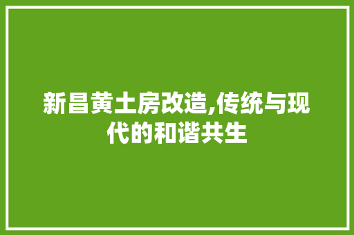 新昌黄土房改造,传统与现代的和谐共生