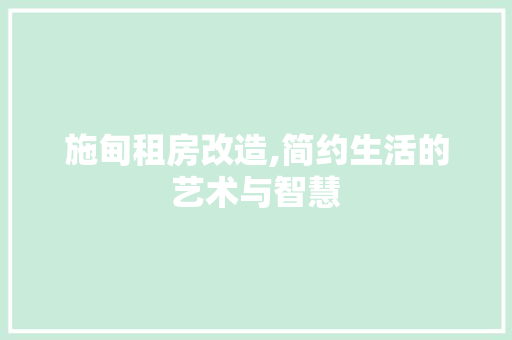 施甸租房改造,简约生活的艺术与智慧