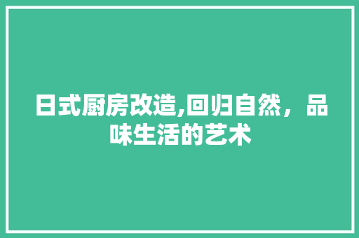 日式厨房改造,回归自然，品味生活的艺术