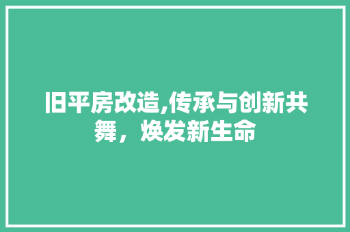旧平房改造,传承与创新共舞，焕发新生命