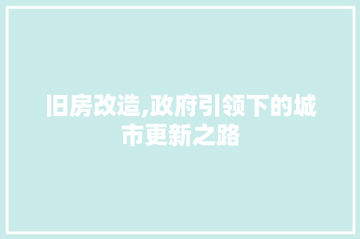 旧房改造,政府引领下的城市更新之路