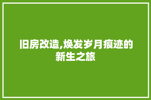 旧房改造,焕发岁月痕迹的新生之旅 庭院装修