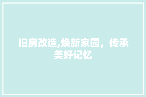 旧房改造,焕新家园，传承美好记忆 庭院装修