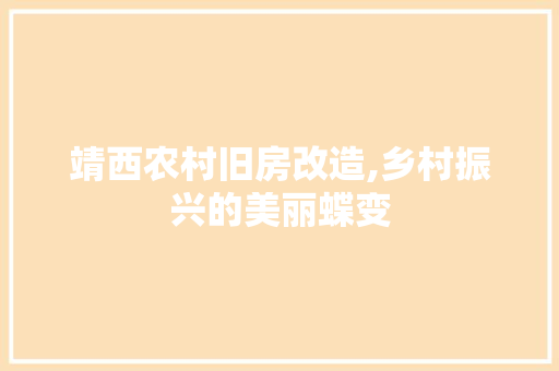 靖西农村旧房改造,乡村振兴的美丽蝶变