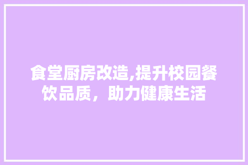 食堂厨房改造,提升校园餐饮品质，助力健康生活