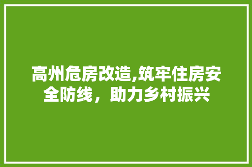 高州危房改造,筑牢住房安全防线，助力乡村振兴