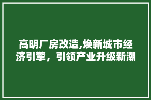 高明厂房改造,焕新城市经济引擎，引领产业升级新潮流