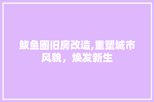 鲅鱼圈旧房改造,重塑城市风貌，焕发新生