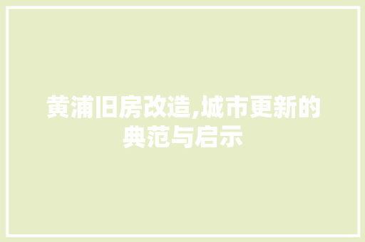 黄浦旧房改造,城市更新的典范与启示