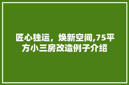 匠心独运，焕新空间,75平方小三房改造例子介绍