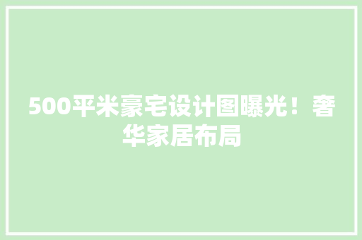 500平米豪宅设计图曝光！奢华家居布局