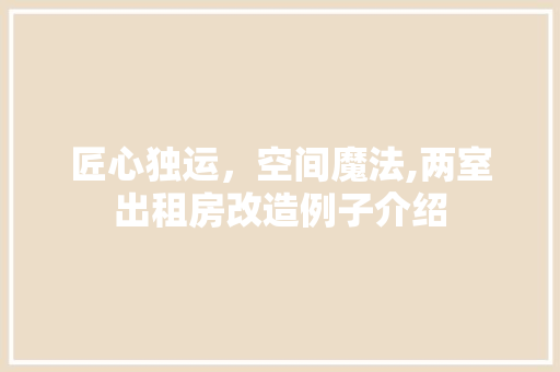 匠心独运，空间魔法,两室出租房改造例子介绍