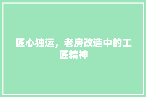 匠心独运，老房改造中的工匠精神