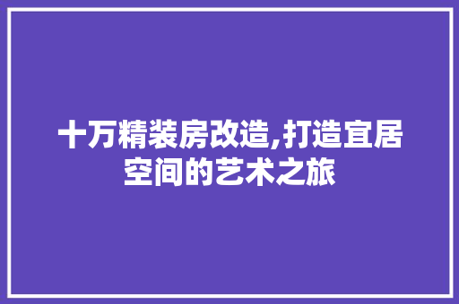 十万精装房改造,打造宜居空间的艺术之旅