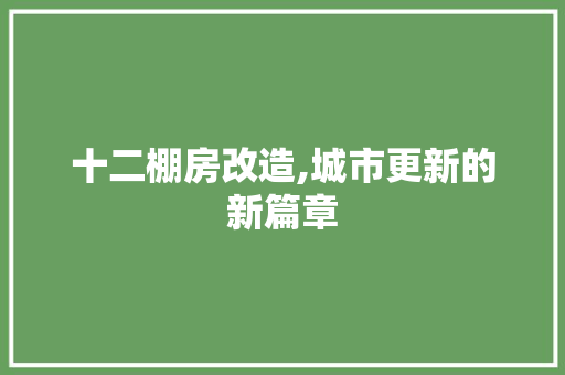十二棚房改造,城市更新的新篇章