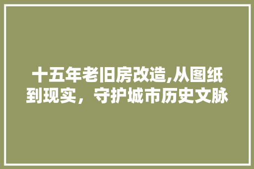 十五年老旧房改造,从图纸到现实，守护城市历史文脉