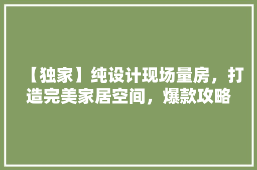 【独家】纯设计现场量房，打造完美家居空间，爆款攻略！