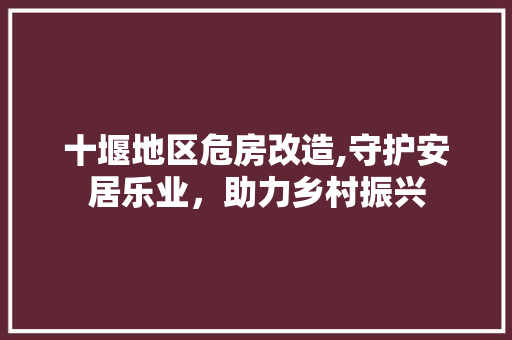 十堰地区危房改造,守护安居乐业，助力乡村振兴