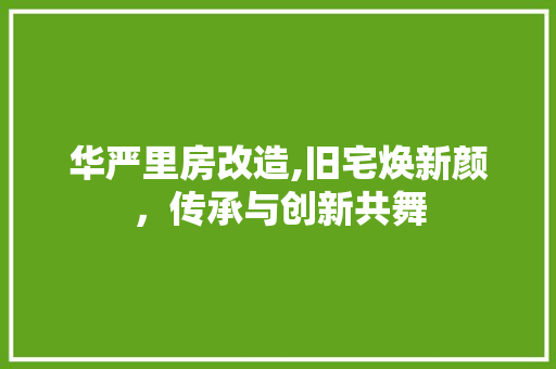 华严里房改造,旧宅焕新颜，传承与创新共舞