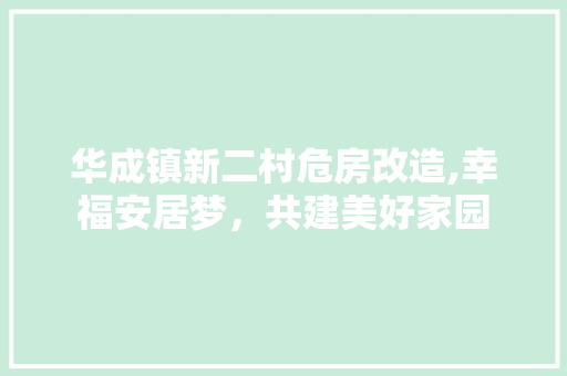 华成镇新二村危房改造,幸福安居梦，共建美好家园