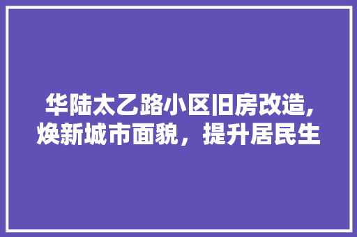 华陆太乙路小区旧房改造,焕新城市面貌，提升居民生活品质
