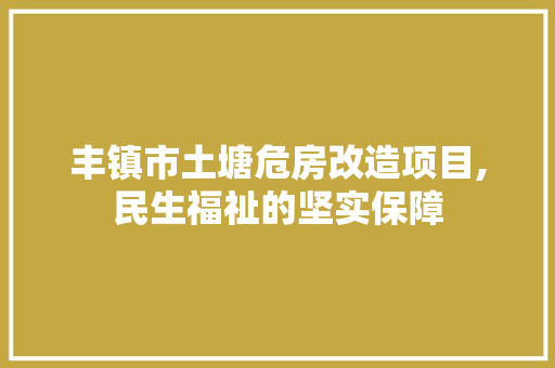丰镇市土塘危房改造项目,民生福祉的坚实保障