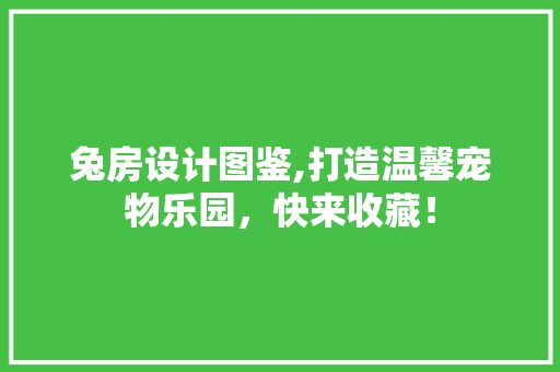 兔房设计图鉴,打造温馨宠物乐园，快来收藏！