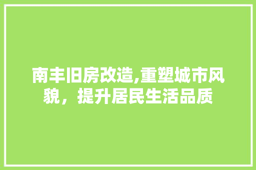 南丰旧房改造,重塑城市风貌，提升居民生活品质
