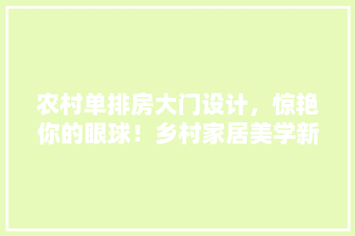 农村单排房大门设计，惊艳你的眼球！乡村家居美学新篇章
