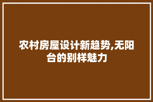 农村房屋设计新趋势,无阳台的别样魅力