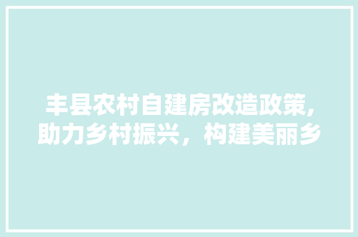 丰县农村自建房改造政策,助力乡村振兴，构建美丽乡村