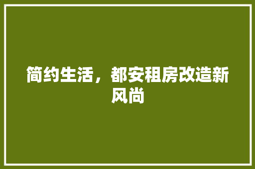 简约生活，都安租房改造新风尚