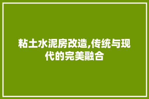 粘土水泥房改造,传统与现代的完美融合 建筑设计