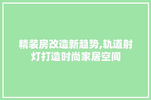 精装房改造新趋势,轨道射灯打造时尚家居空间 隔断设计
