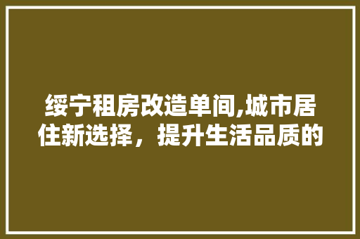 绥宁租房改造单间,城市居住新选择，提升生活品质的智慧之路 墙面装饰