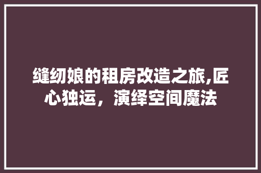 缝纫娘的租房改造之旅,匠心独运，演绎空间魔法