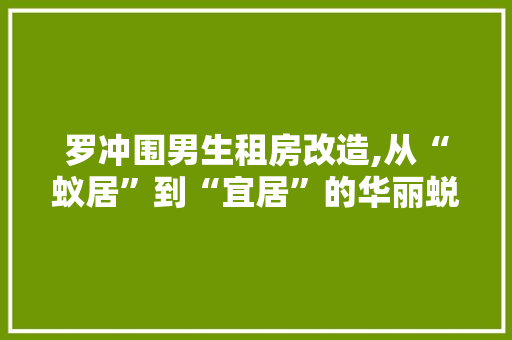 罗冲围男生租房改造,从“蚁居”到“宜居”的华丽蜕变