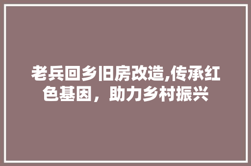 老兵回乡旧房改造,传承红色基因，助力乡村振兴