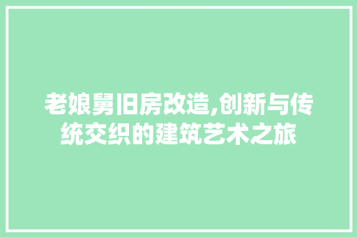老娘舅旧房改造,创新与传统交织的建筑艺术之旅