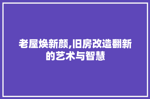 老屋焕新颜,旧房改造翻新的艺术与智慧 建筑设计