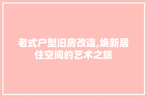 老式户型旧房改造,焕新居住空间的艺术之旅 隔断设计
