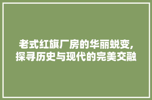 老式红旗厂房的华丽蜕变,探寻历史与现代的完美交融 隔断设计