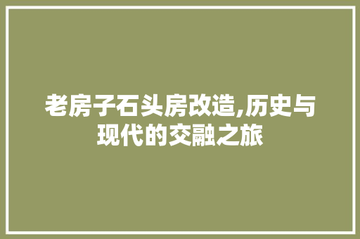 老房子石头房改造,历史与现代的交融之旅 地面装修