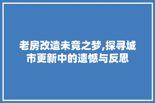 老房改造未竟之梦,探寻城市更新中的遗憾与反思