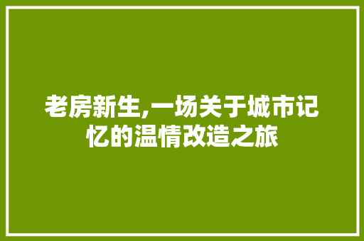 老房新生,一场关于城市记忆的温情改造之旅