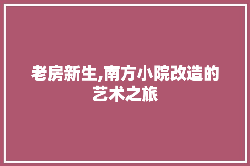 老房新生,南方小院改造的艺术之旅