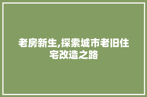 老房新生,探索城市老旧住宅改造之路