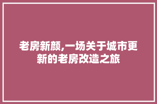 老房新颜,一场关于城市更新的老房改造之旅