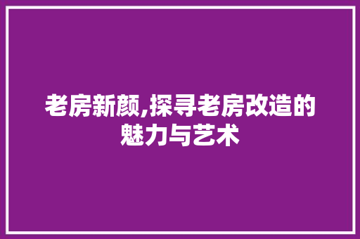 老房新颜,探寻老房改造的魅力与艺术 装修材料